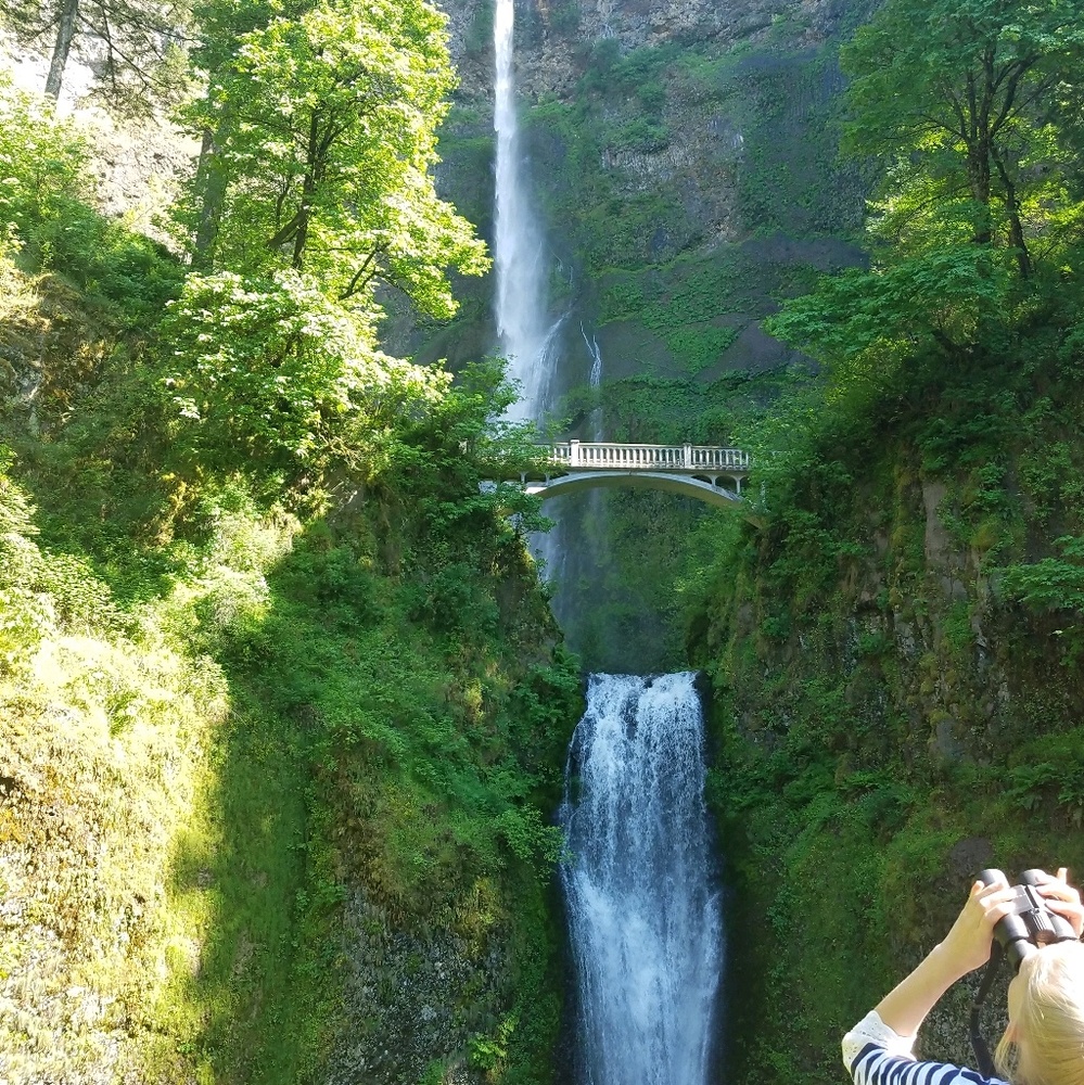 Meet your Posher, Shelia